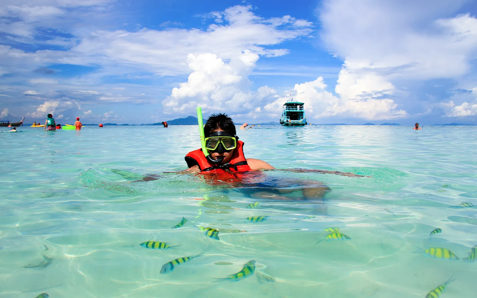 Can you swim at Phi Phi Islands year-round