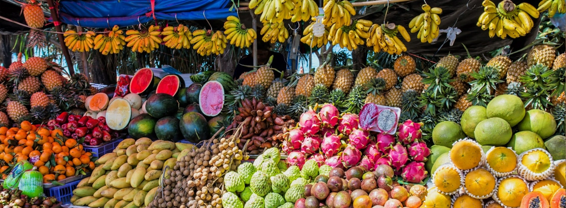 Thailand Travel Guide: Exploring Thai Fruit Paradise